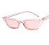 Small Frame Cateye Sunglasses