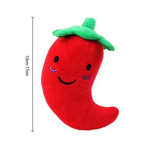 Squeaky Plush Chew Toys